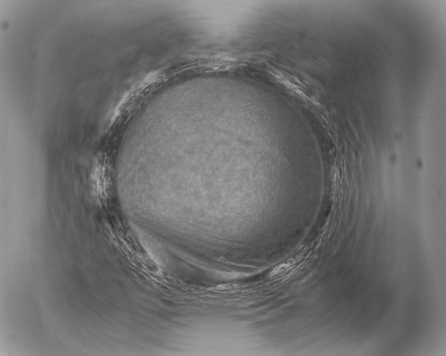 X0000053051447200507251411