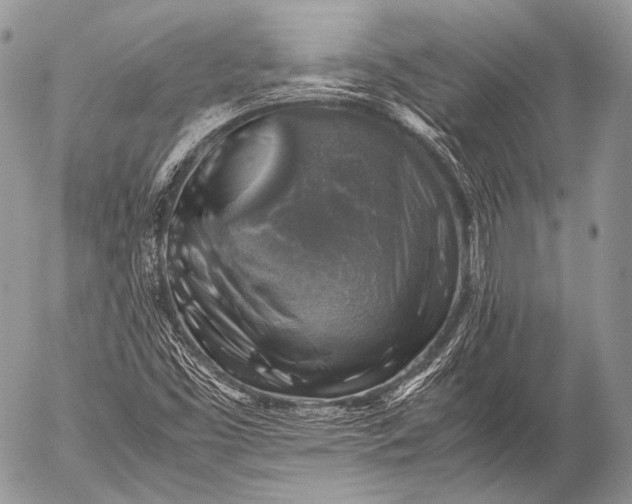 X0000053051453200507251411