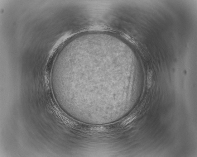 X0000053051454200507251411