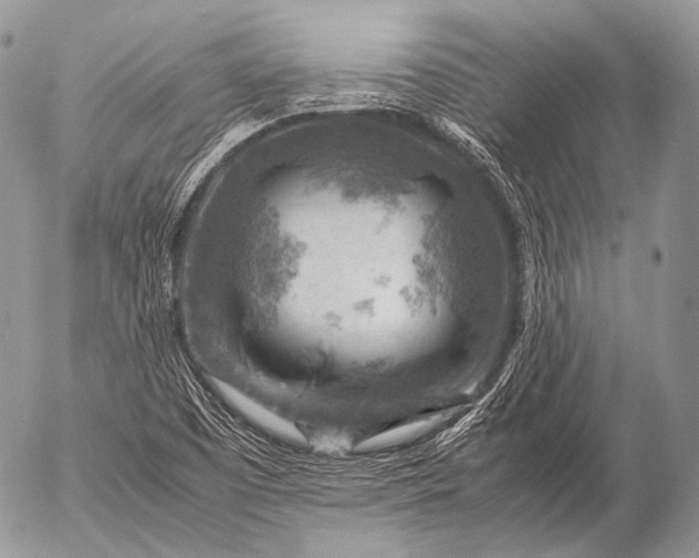 X0000053051457200507251411