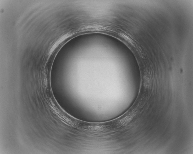 X0000053051458200507251411