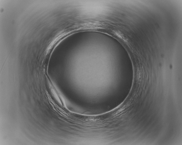 X0000053051459200507251411