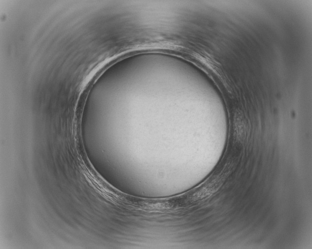 X0000053051460200507251411