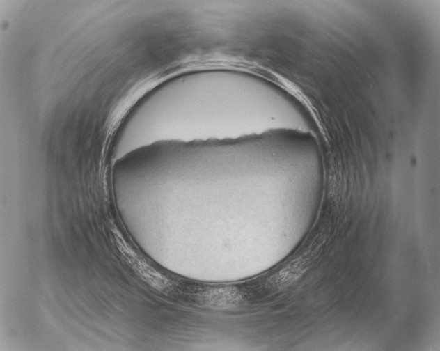 X0000053051464200507251411