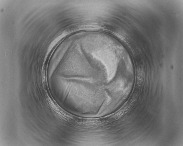 X0000053051466200507251410