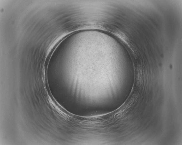 X0000053051468200507251410