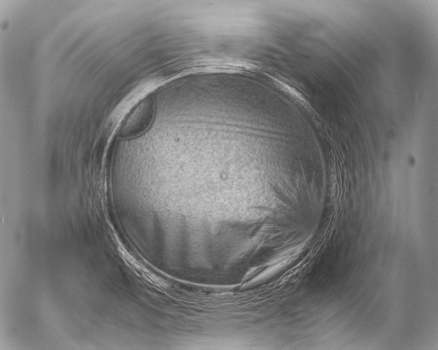 X0000053051471200507251410