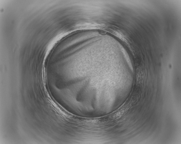X0000053051472200507251410