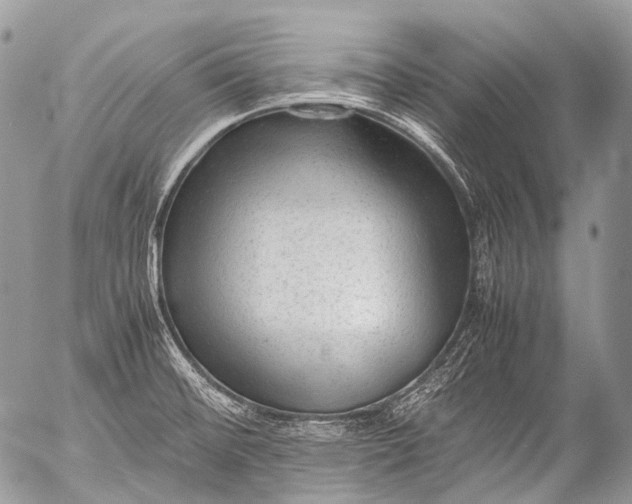 X0000053051476200507251410