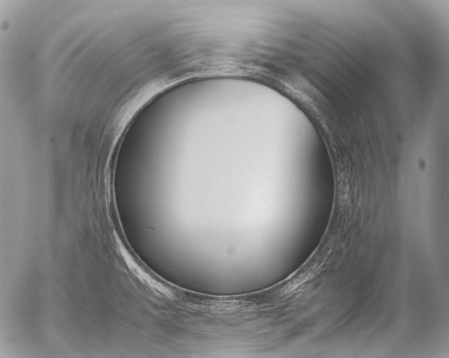 X0000053051479200507251410