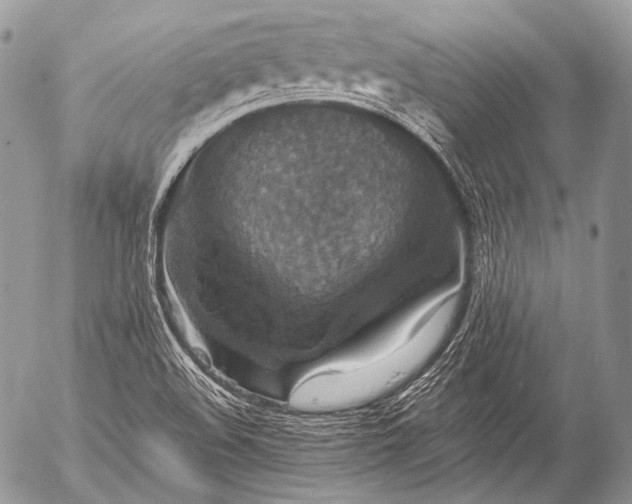 X0000053051508200507251410