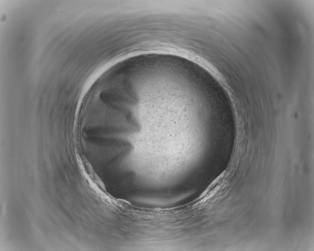 X0000053051536200507251410