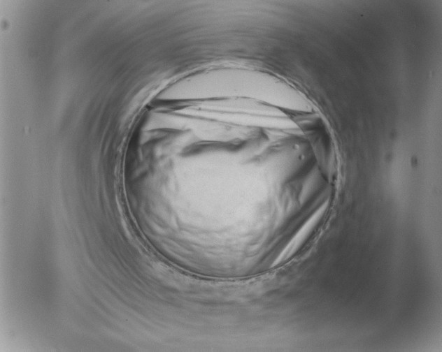 X0000053050001200508011900