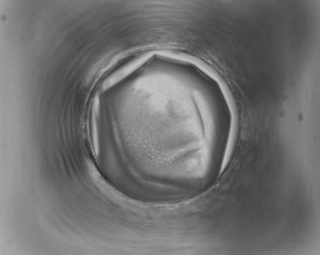 X0000053050002200508011900