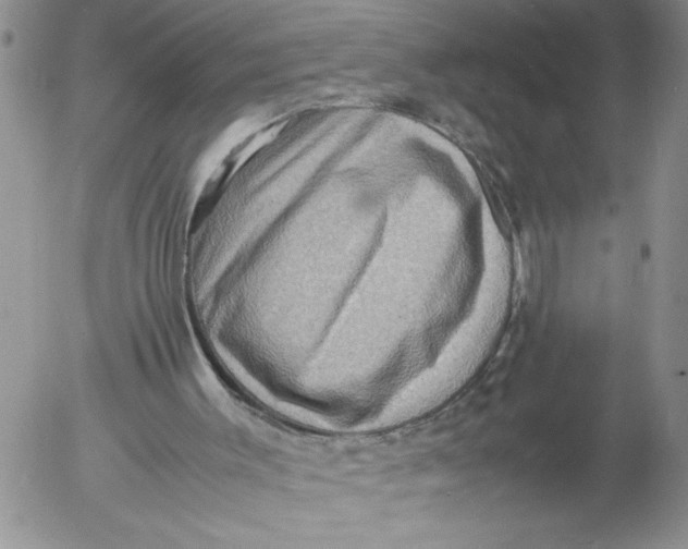 X0000053050003200508011900