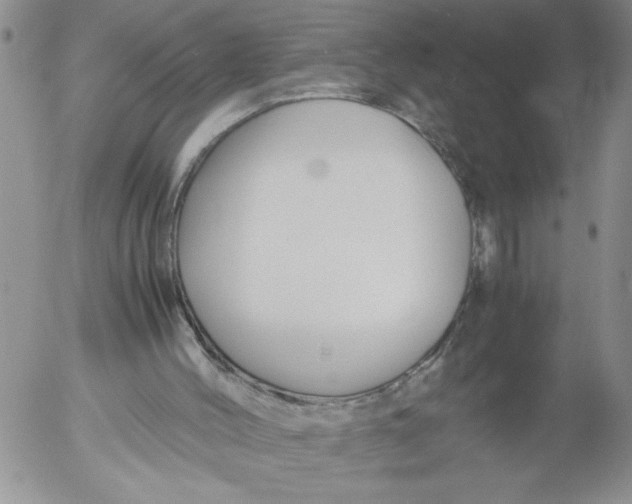 X0000053050004200508011900