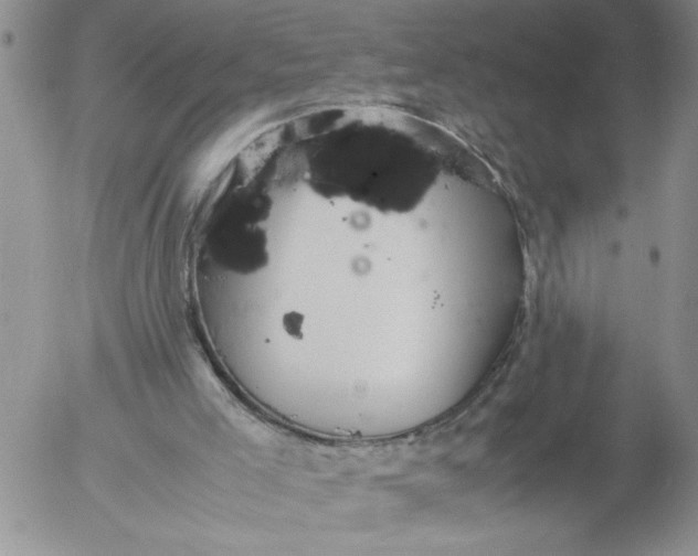 X0000053050005200508011900