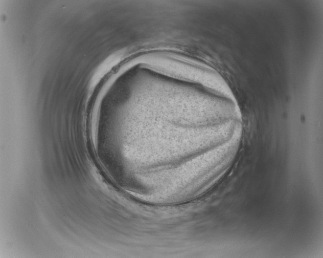 X0000053050006200508011900