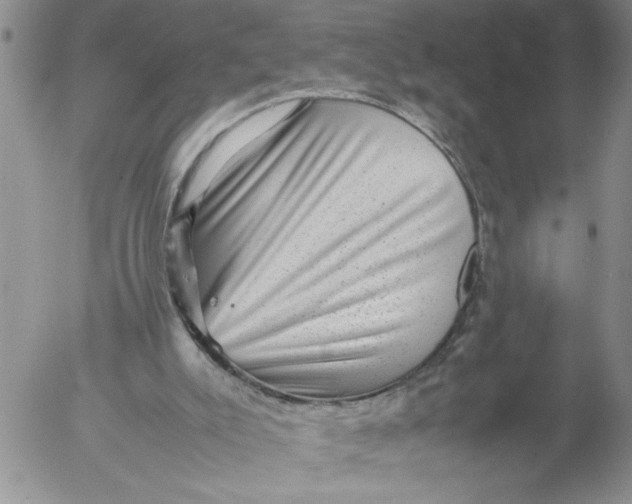 X0000053050007200508011900