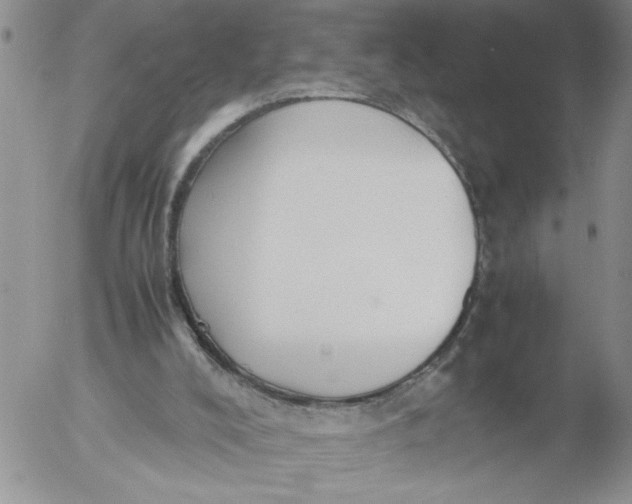 X0000053050008200508011900