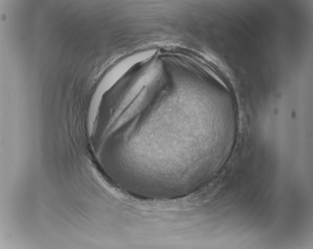 X0000053050009200508011900