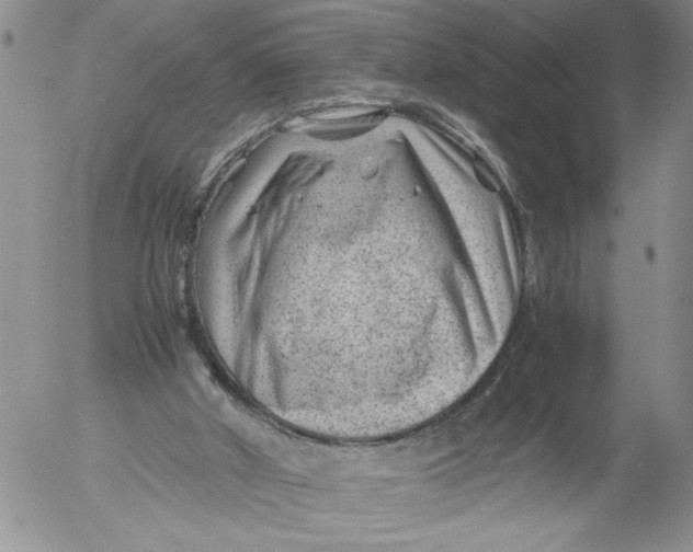 X0000053050010200508011900