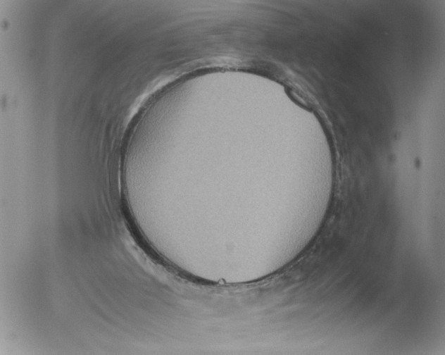 X0000053050011200508011900