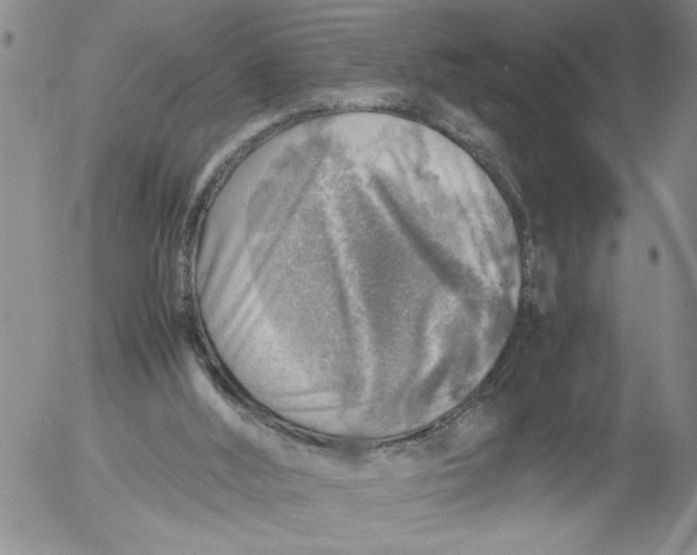 X0000053050012200508011900