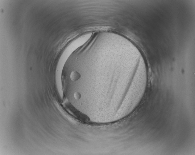 X0000053050013200508011900