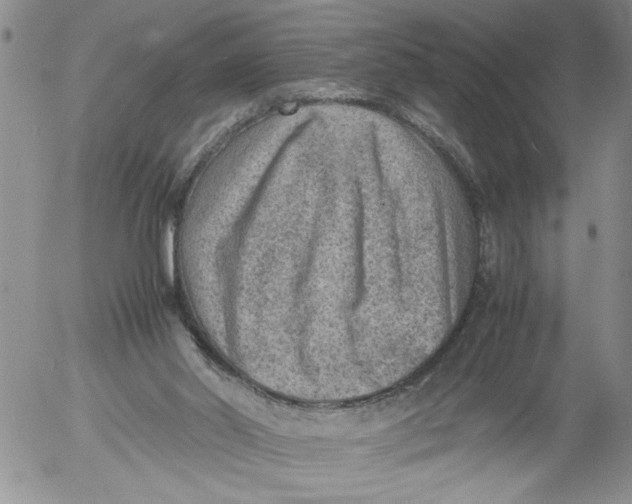 X0000053050014200508011900