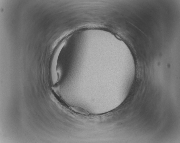 X0000053050015200508011900