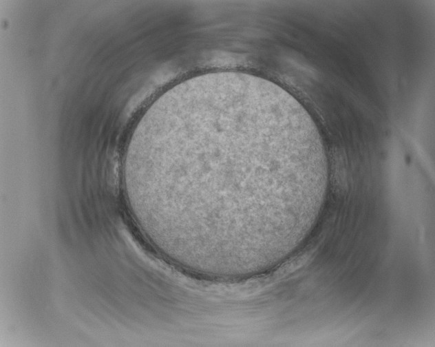 X0000053050016200508011900