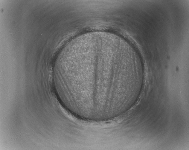 X0000053050017200508011900