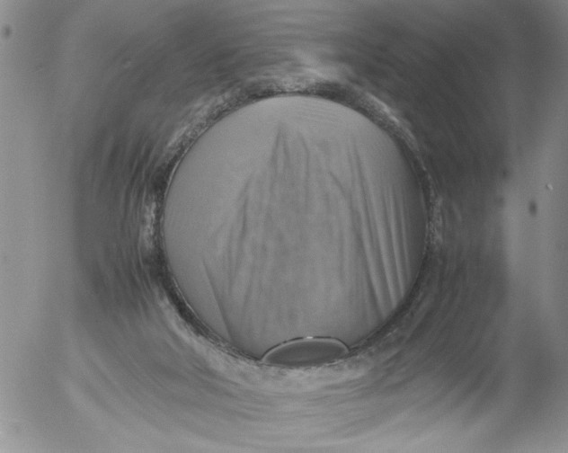 X0000053050018200508011900