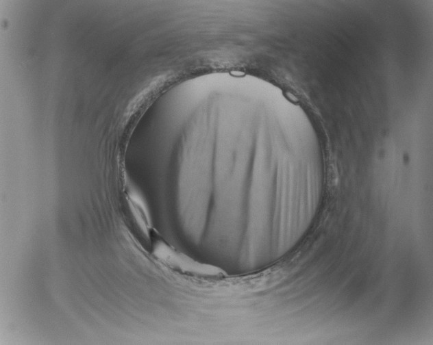 X0000053050019200508011900