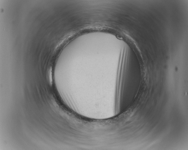 X0000053050020200508011900