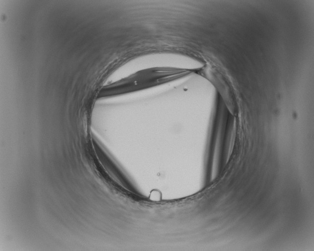 X0000053050021200508011859