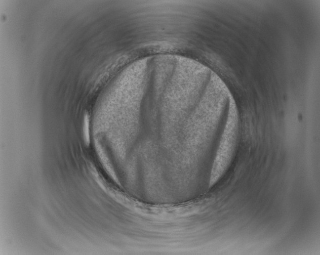 X0000053050022200508011859