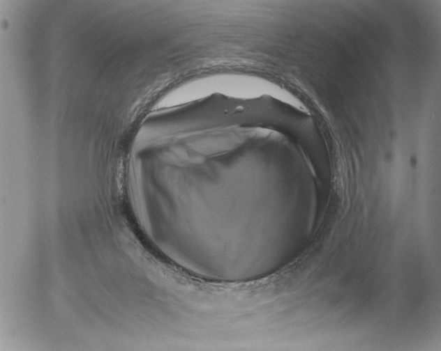 X0000053050023200508011859