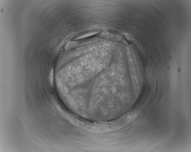 X0000053050024200508011859