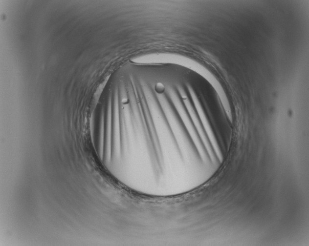 X0000053050025200508011859