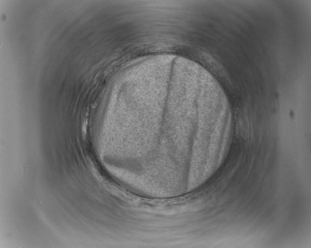 X0000053050026200508011859