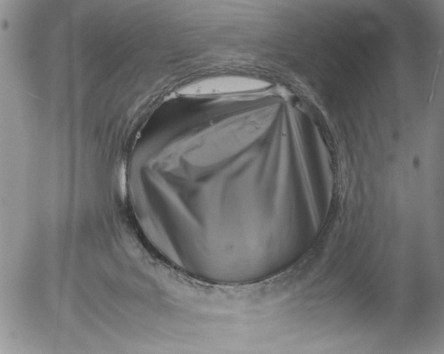 X0000053050027200508011859