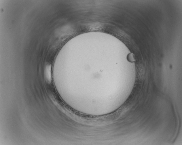 X0000053050028200508011859