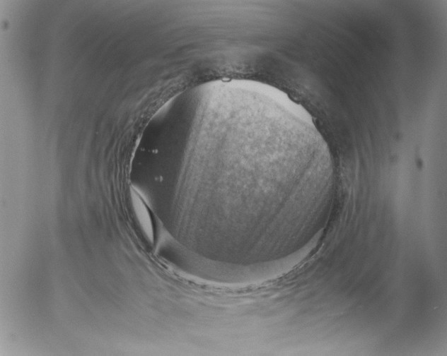 X0000053050029200508011859