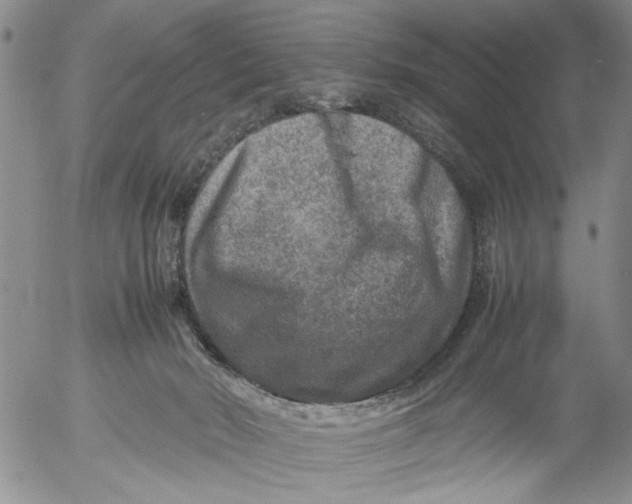 X0000053050030200508011859