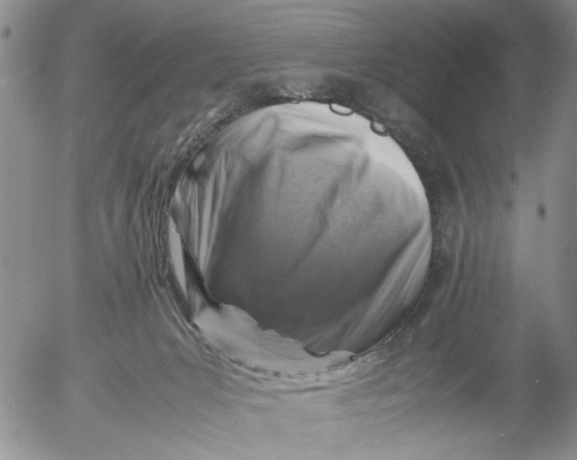 X0000053050031200508011859