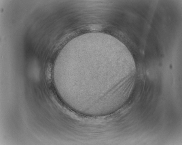 X0000053050032200508011859