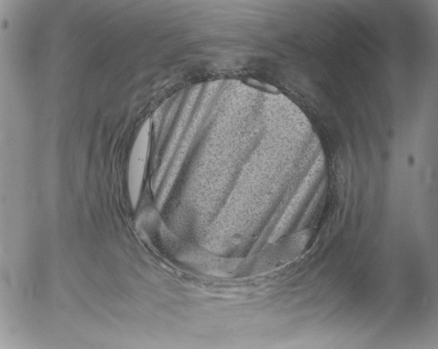 X0000053050033200508011859