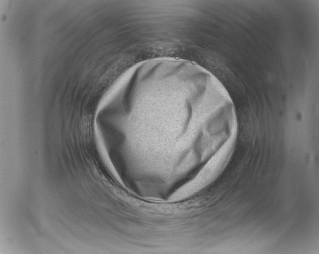 X0000053050034200508011859